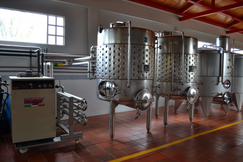 cave-MONTFORT SUR ARGENS-min_wine_production_cantine_winery_drink_alcohol_vine_beverage-902036